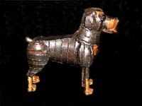 Rott