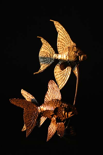scalaire