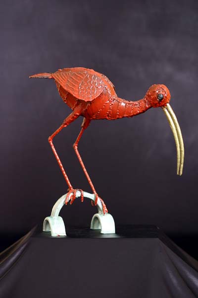 ibis