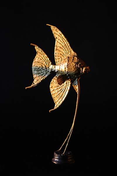 scalaire