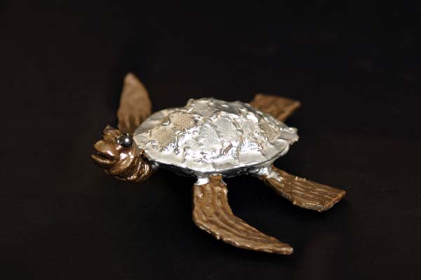 tortue eau