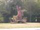 photo14_small.jpg
